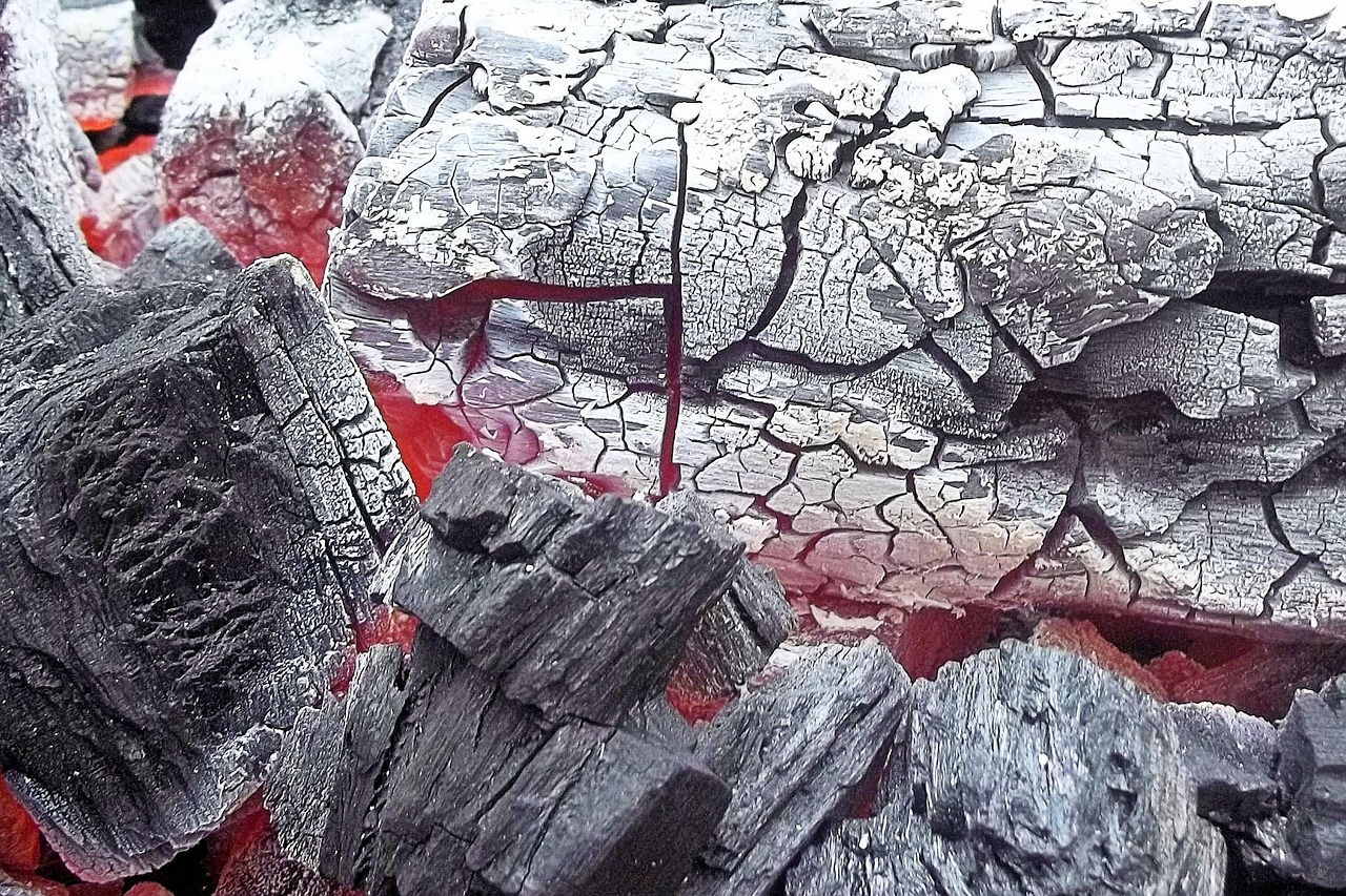 ganzjähriges grillvergnügen: entdecken sie tipps und rezepte für das grillen bei jeder jahreszeit.