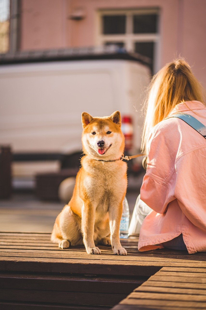entdecken sie die bedeutung und die vorteile von freundschaften, wie sie unser leben bereichern, uns unterstützen und zu einem stärkeren gefühl der zugehörigkeit beitragen. erfahren sie, wie freundschaften positive auswirkungen auf unsere gesundheit und unser wohlbefinden haben können.