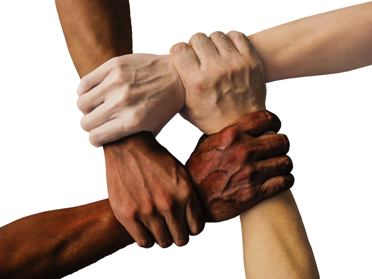 entdecken sie die bedeutung von freundschaften und wie sie unser leben bereichern. tipps für den aufbau und die pflege wertvoller beziehungen.